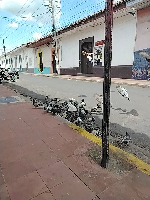 @6/7/2026, 1:28:16 PM - 3ra Calle Nor Este